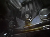 1000014690.webp 1000014690.webp